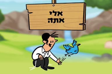 אלי אתה