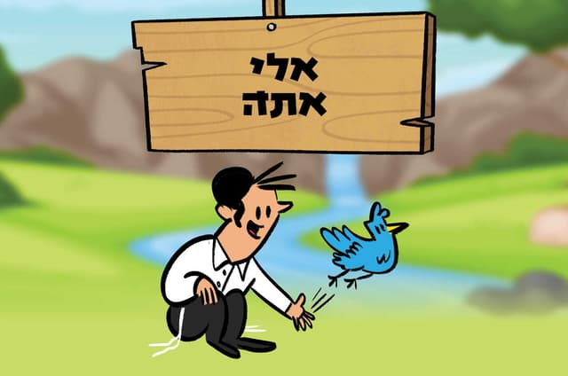 אלי אתה