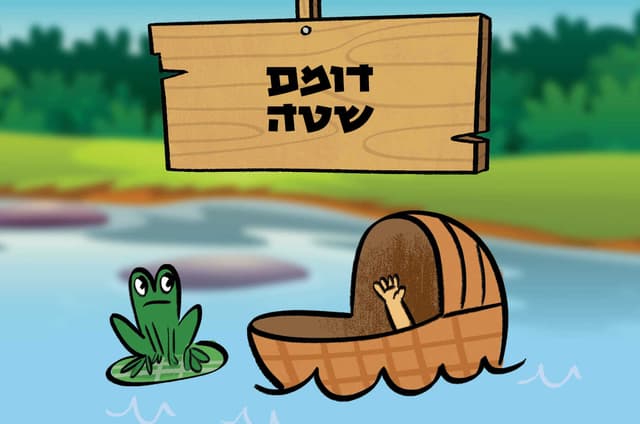 דומם שטה