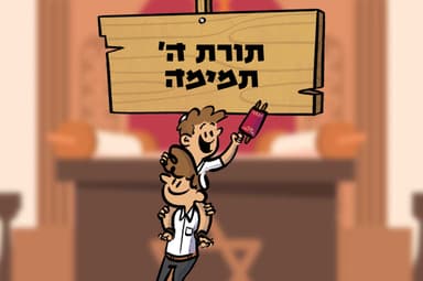 תורת השם תמימה