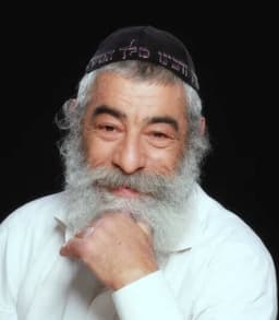 אריאל זילבר